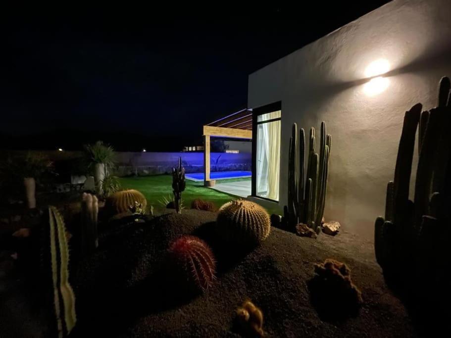 Bungalow + Piscina Independiente La Oliva Eksteriør billede
