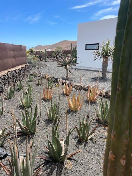 Bungalow + Piscina Independiente La Oliva Eksteriør billede