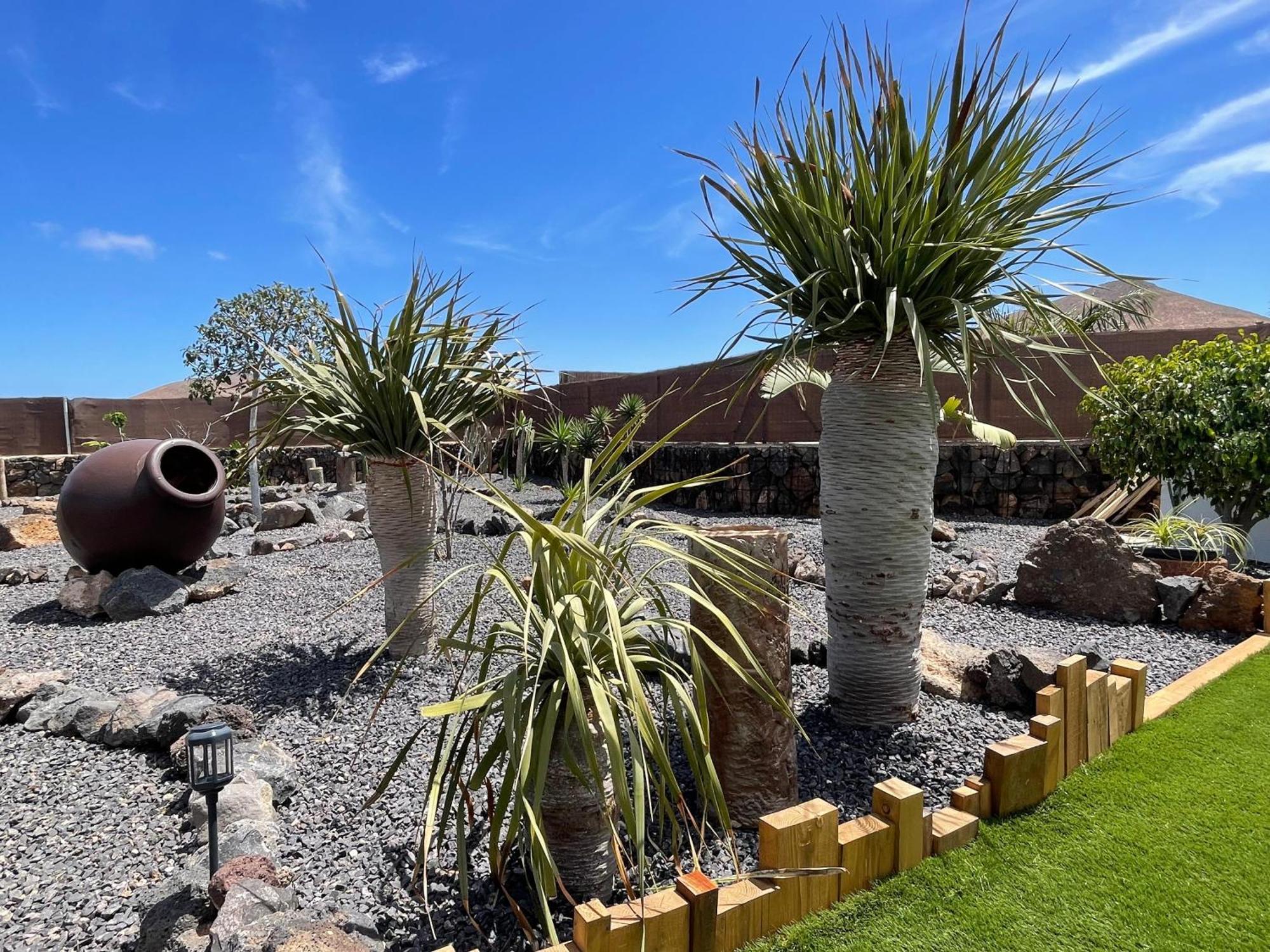 Bungalow + Piscina Independiente La Oliva Eksteriør billede